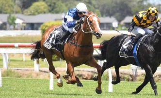 Best Odds At Top Singapore Horse Betting Platforms In 2025