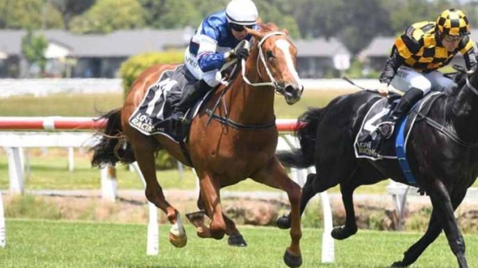 Best Odds At Top Singapore Horse Betting Platforms In 2025