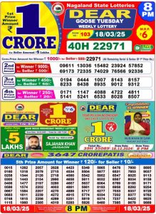 Dear Lottery Result Today: 1 PM, 6 PM, 8 PM (March 19, 2025)