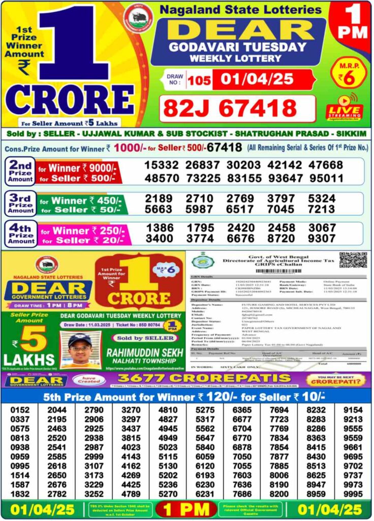 Nagaland State Lottery Sambad for 01.04.2025