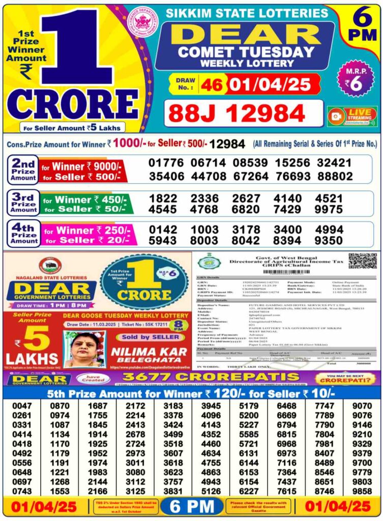 Nagaland State Lottery Sambad for 01.04.2025
