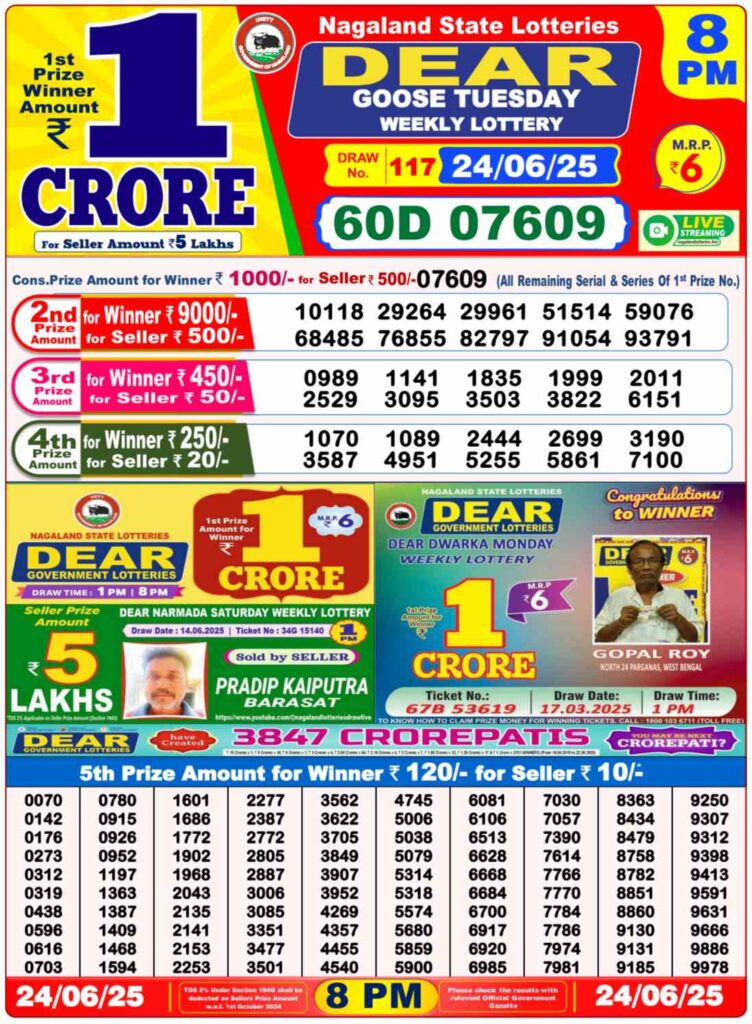 Nagaland Sambad Lottery Result 24-06-2025, DEAR GOOSE NIGHT