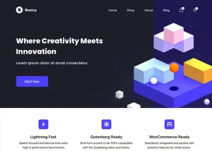 WordPress Themes