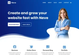 WordPress Themes