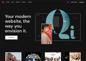 WordPress Themes