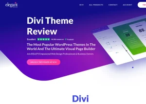 WordPress Themes