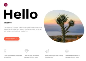 WordPress Themes