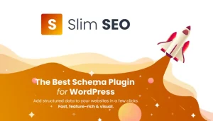 SEO Plugins