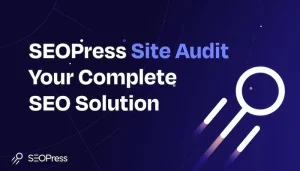 SEO Plugins