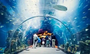Best Places to Visit in Dubai