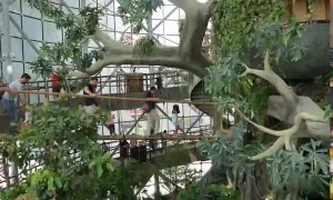 Best Places to Visit in Dubai