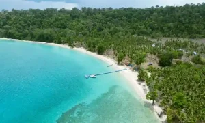 Best honeymoon destinations in India for couples