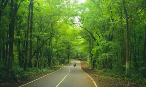 Best honeymoon destinations in India for couples