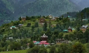 Best honeymoon destinations in India for couples