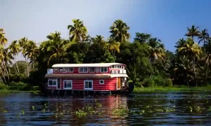 Best honeymoon destinations in India for couples
